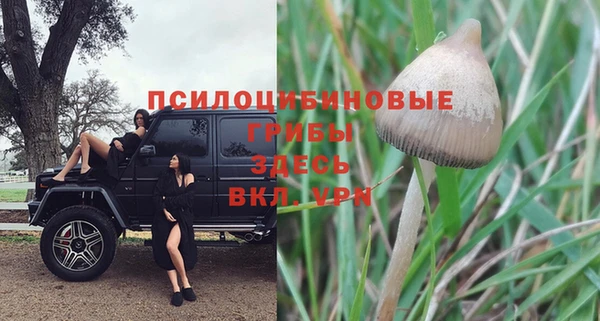 марихуана Алексин