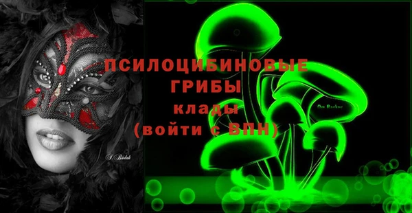 гидра Алзамай