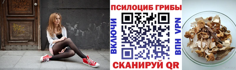 Галлюциногенные грибы GOLDEN TEACHER  где купить наркотик  Красногорск 