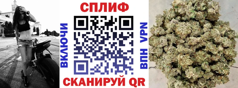 как найти   Красногорск  Каннабис тримм 